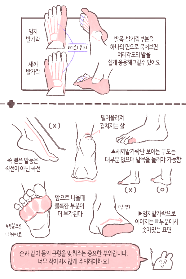 [간단강좌_04]🐰

이번 강의주제는 [발]입니다!