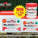 Photo by Horse First Winners (@horsefirst)