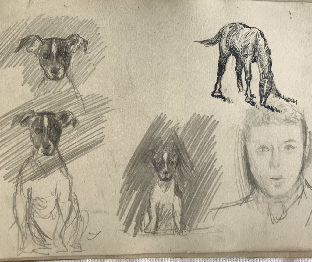 Alfred Munnings sketchbook page on loan to @eastgallerynua from the @AlfredMunnings Art Museum for a new show ‘Revealing Munnings’ that opens on Tuesday- love the cute terrier and grazing pony here