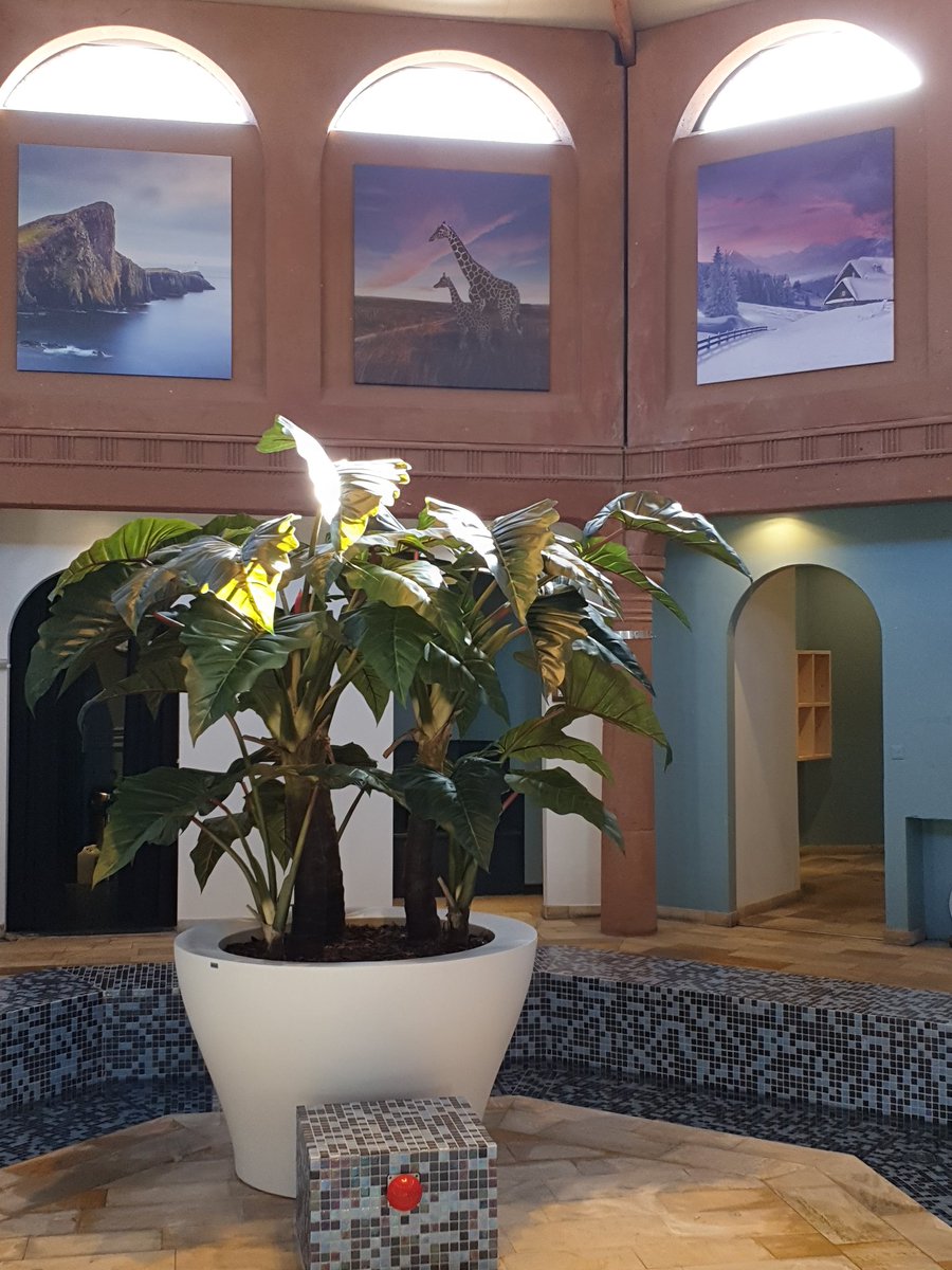 Decoratie op canvas in sauna en wellness Palestra Stroombroek #interieurbeleveing