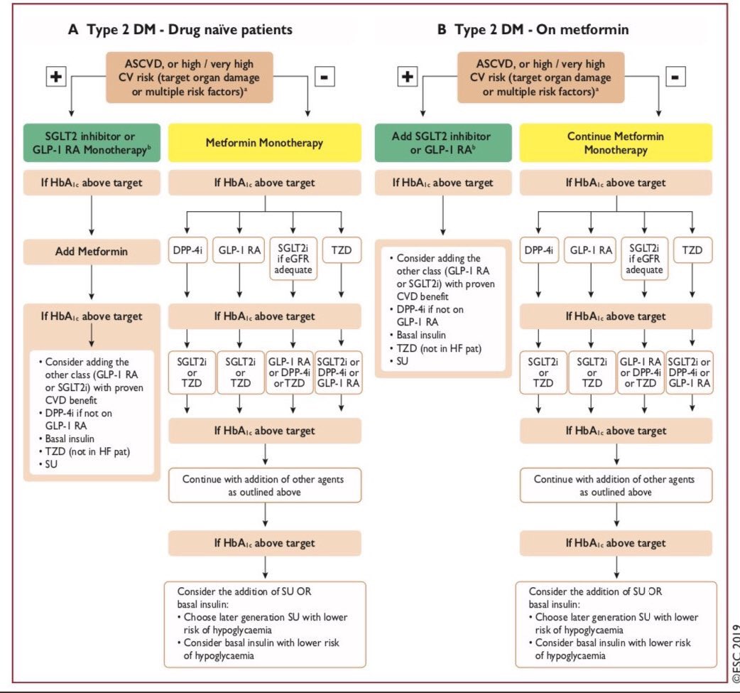 almucastro01's tweet photo. Guías prediabetes y diabetes de @escardio https://t.co/SOSUbE8CZB y Posicionamiento @secardiologia https://t.co/Sjw6zAuoHo  No es casualidad q se recomiende lo mismo, es EVIDENCIA CIENTÍFICA @domingomarzal https://t.co/jaCQZKzEtP
