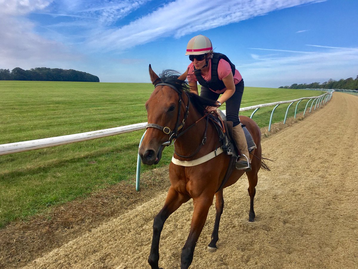 JohnWathenBerry's tweet photo. Good exercise for @Lanwades-bred #Alsamara around Side Hill @NewmarketGallop this beautiful morning. Unraced daughter of New Approach, hopefully working her way towards a debut this autumn. https://t.co/RHeWjRcXxF