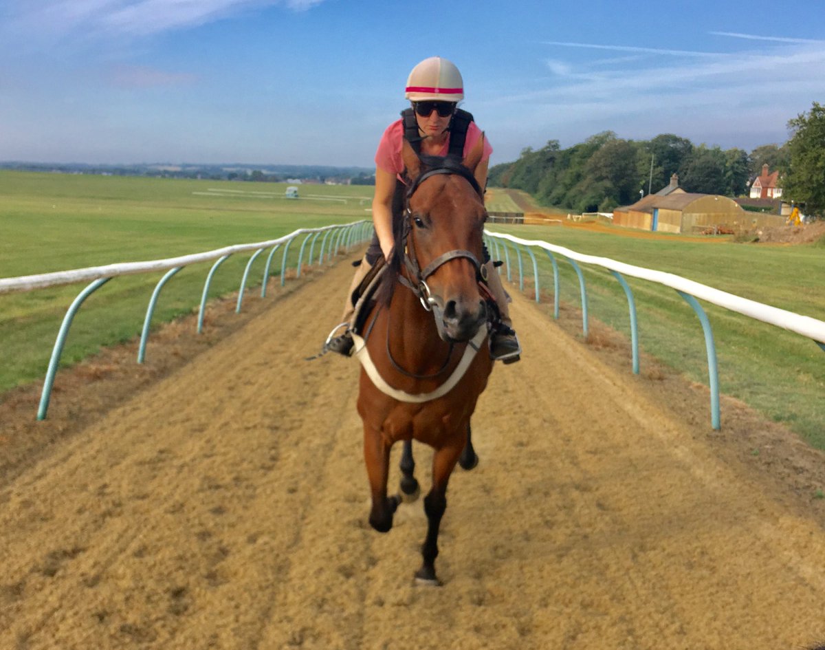 JohnWathenBerry's tweet photo. Good exercise for @Lanwades-bred #Alsamara around Side Hill @NewmarketGallop this beautiful morning. Unraced daughter of New Approach, hopefully working her way towards a debut this autumn. https://t.co/RHeWjRcXxF