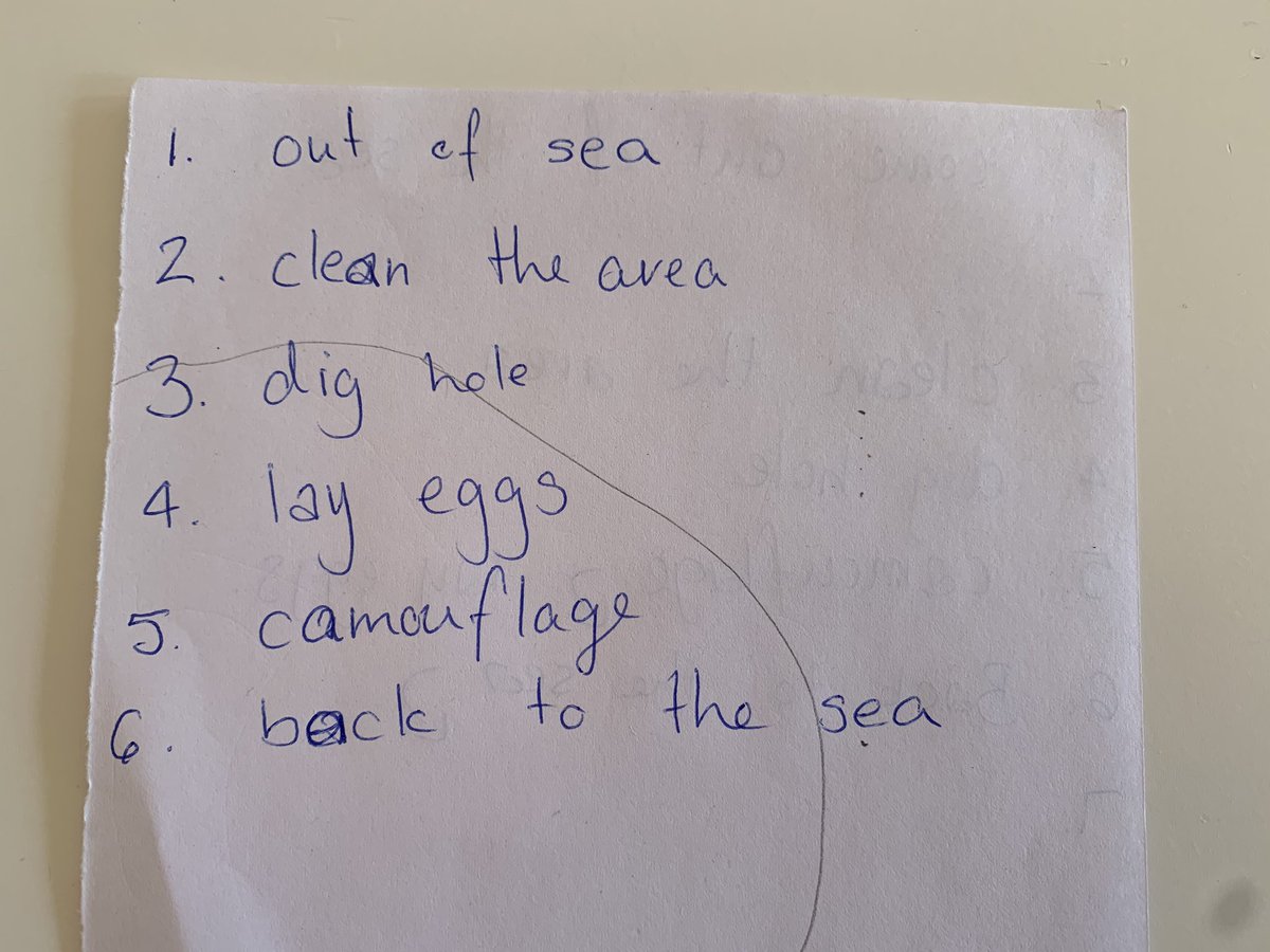 amiecaitlin's tweet image. We visited #Tortuguero 2 weeks ago and saw the #turtles. My daughter wants to write up the 7 stages of turtles nesting we learned to tell her class, but we can only remember 6! Please can you help us remember them all? 

Muchos gracias!

@conserveturtles #turtlenesting
