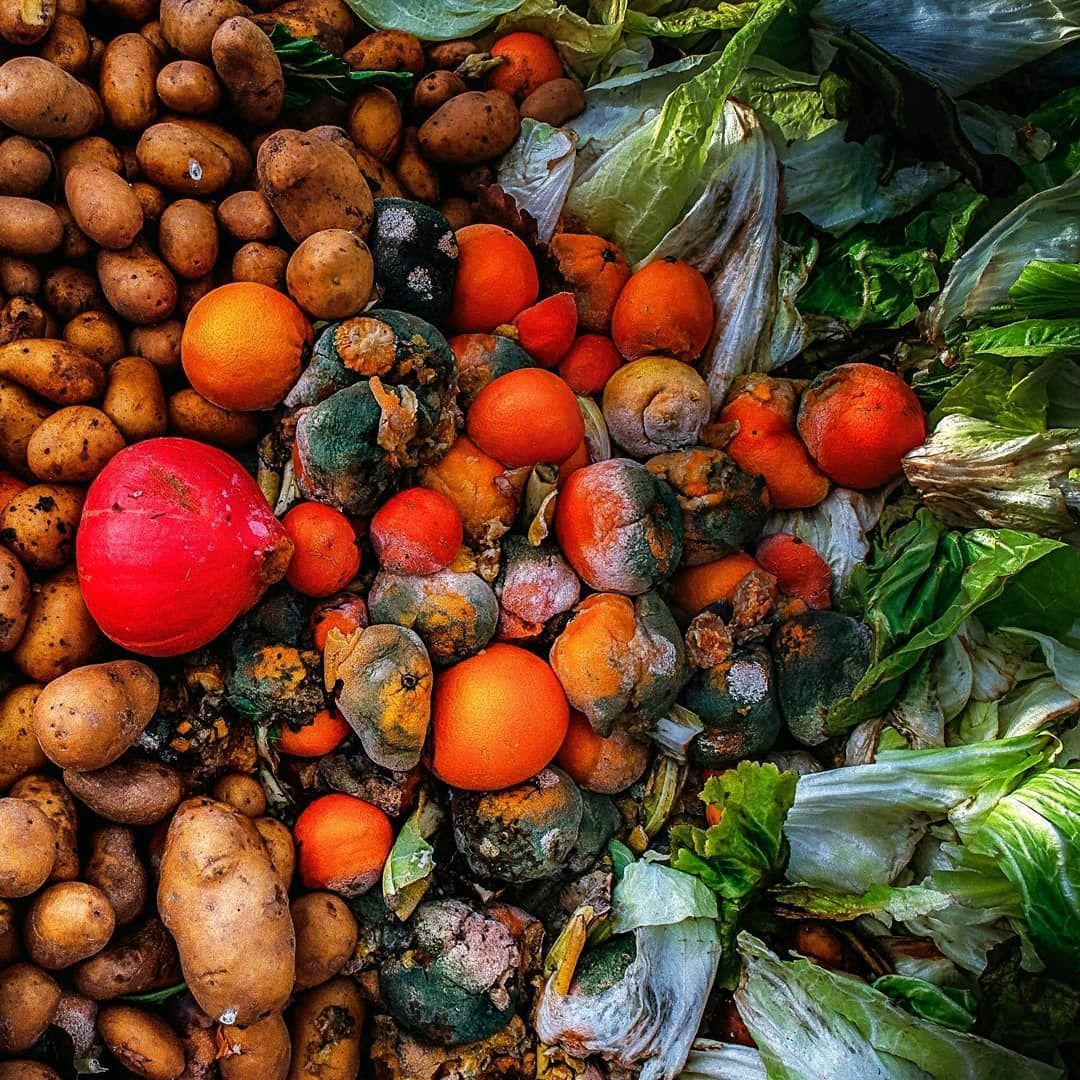 We live in a 🌍 where...

Number of people to feed is ⬆️
Water is ⬇️
Farmland is ⬇️
Rural labour is⬇️

Yet, we waste 1/3 of all the food we produce! 

We need to make #NotWasting a way of life! 

👉bit.ly/2NzSi05 

#SDG12 #SDGs