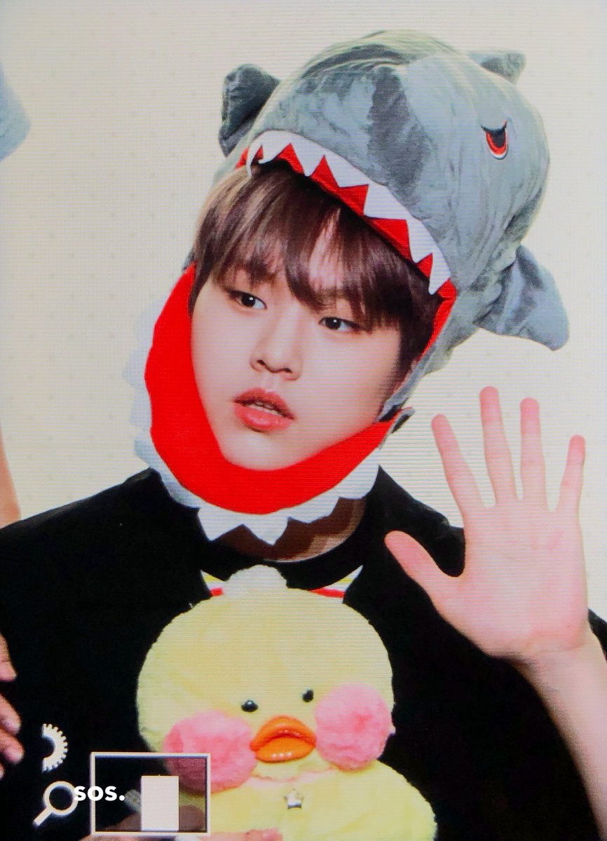 sos20041110's tweet photo. 190831 도현아ㅠㅠㅠㅠㅠㅠㅠ
 #남도현 #도현 #NAMDOHYON #X1 #엑스원 https://t.co/ek4tHL3nsd