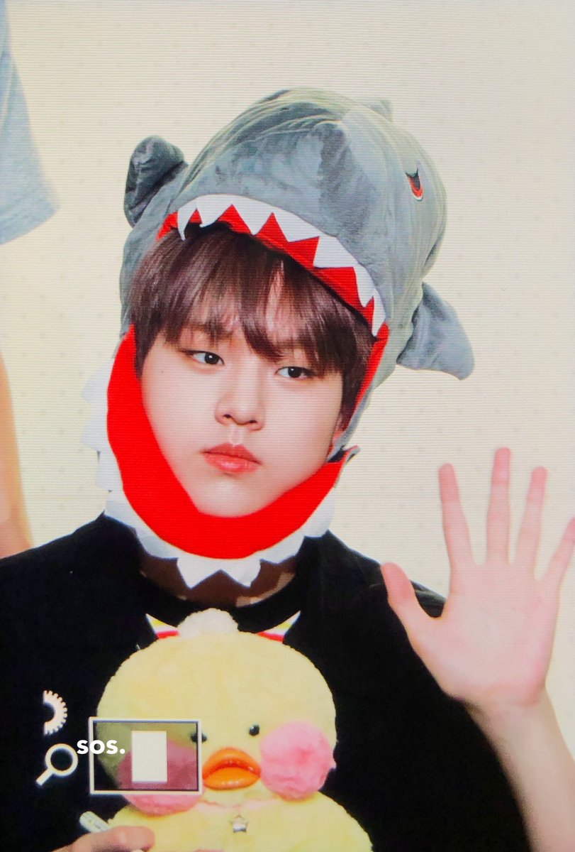 sos20041110's tweet photo. 190831 도현아ㅠㅠㅠㅠㅠㅠㅠ
 #남도현 #도현 #NAMDOHYON #X1 #엑스원 https://t.co/ek4tHL3nsd