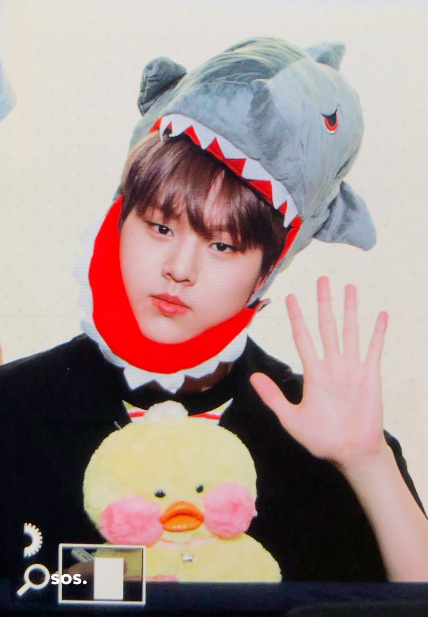 sos20041110's tweet photo. 190831 도현아ㅠㅠㅠㅠㅠㅠㅠ
 #남도현 #도현 #NAMDOHYON #X1 #엑스원 https://t.co/ek4tHL3nsd