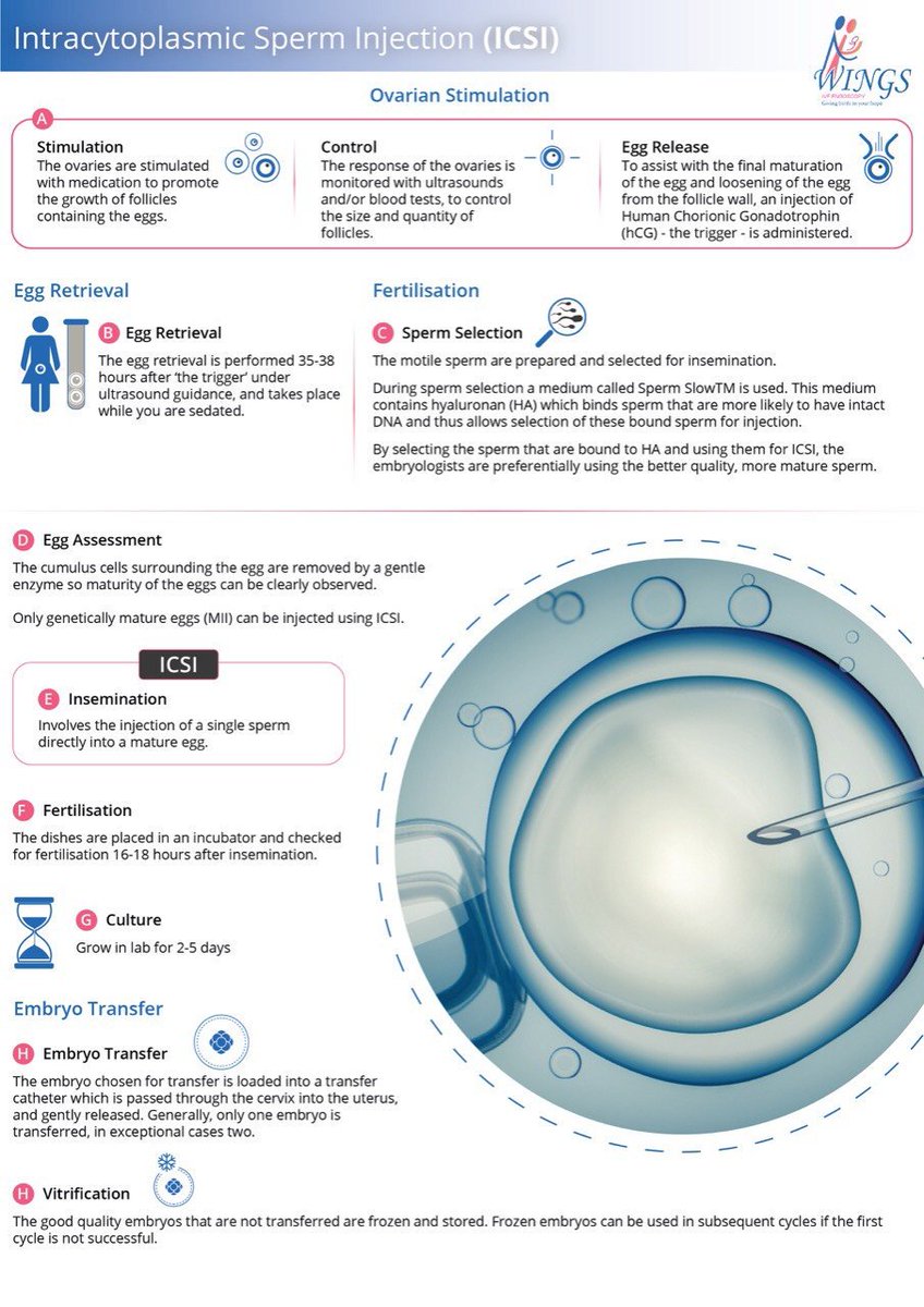 Follicle size at trigger ivf