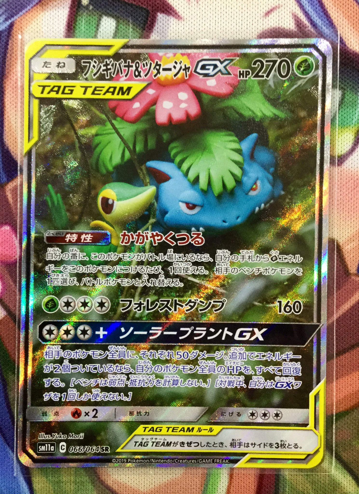 カードボックス天理店 En Twitter ポケモンカード入荷情報 ポケカ優良カードの買取をさせていただきました フシギバナ ツタージャgx Sr を買取させていただきました レア度上げしたい方 コレクションしたい方は 是非カードボックス 天理店までおこしください