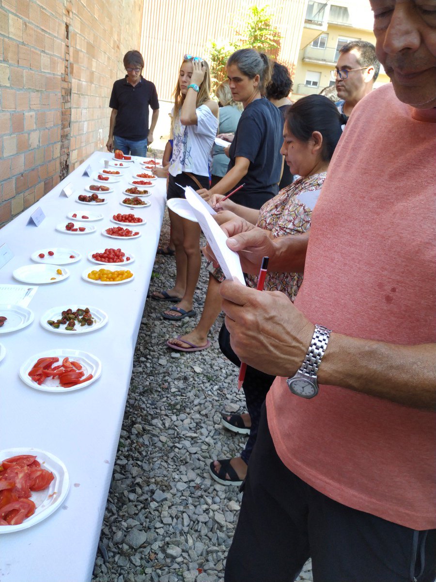 Avui hem participat, amb molt de gust 🍅😉, del Tast de Tomàquets dels #HortsUrbans  de #Tàrrega
Regidoria #AccióSocial
#AjuntamentTàrrega 

@ajtarrega @SocialTarrega @MAStarrega
#autoconsum #alimentaciósaludable #integraciósocial #horticulturaecològica
#MunicipisRepublicans