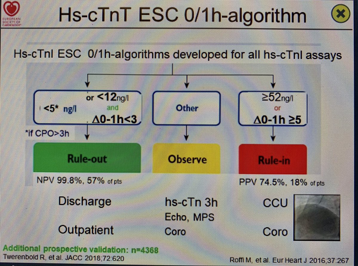 CMichaelGibson's tweet photo. Chairing session on high sensitivity troponins: state of the art slides from Christian Mueller including ESC 0/1 algorithm #ESCCongress https://t.co/icNvHLCA1N