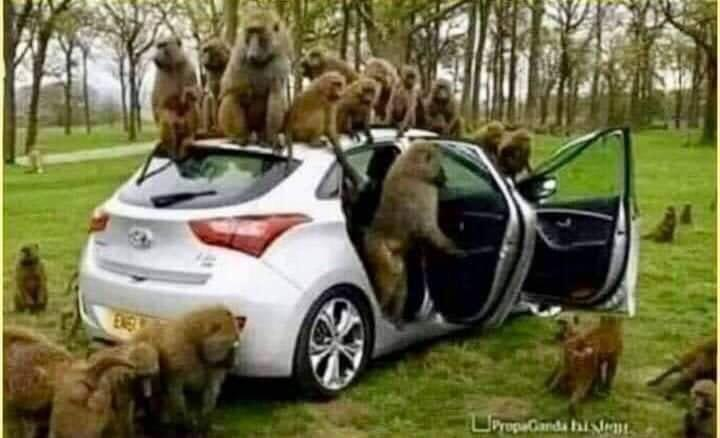 santanub1979's tweet photo. @bhupendrachaube @narendramodi But poor are getting poorer and rich getting richer.Moral of the story ,U can seize democratic right of individual by Political Majority.But economics is a differnt subject.
See the pic,Majority can capture a car but don't know how to drive it. Car is not moving. Need a driver. https://t.co/89ceuSREj2