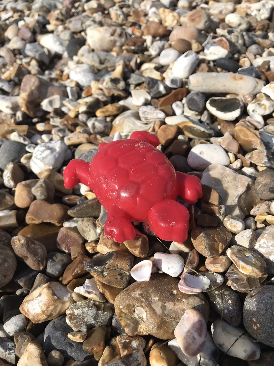 BePlanetAware's tweet photo. Oh the irony... #plasticturtle #loveyourbeach #2minutebeachclean https://t.co/EyyVUV5Ni3