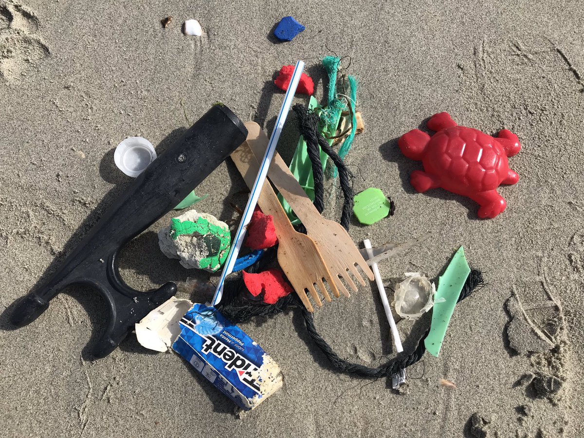 BePlanetAware's tweet photo. Oh the irony... #plasticturtle #loveyourbeach #2minutebeachclean https://t.co/EyyVUV5Ni3