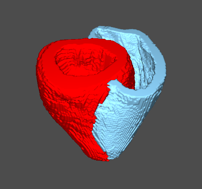 drbiancale's tweet image. Working on your PhD on a Saturday night isn't too bad when you get to produce these beautiful 3D renders of cardiac ventricles😍 Left ventricle in red, right ventricle in blue #Seg3D #diffusiontensorimaging #PhDlife