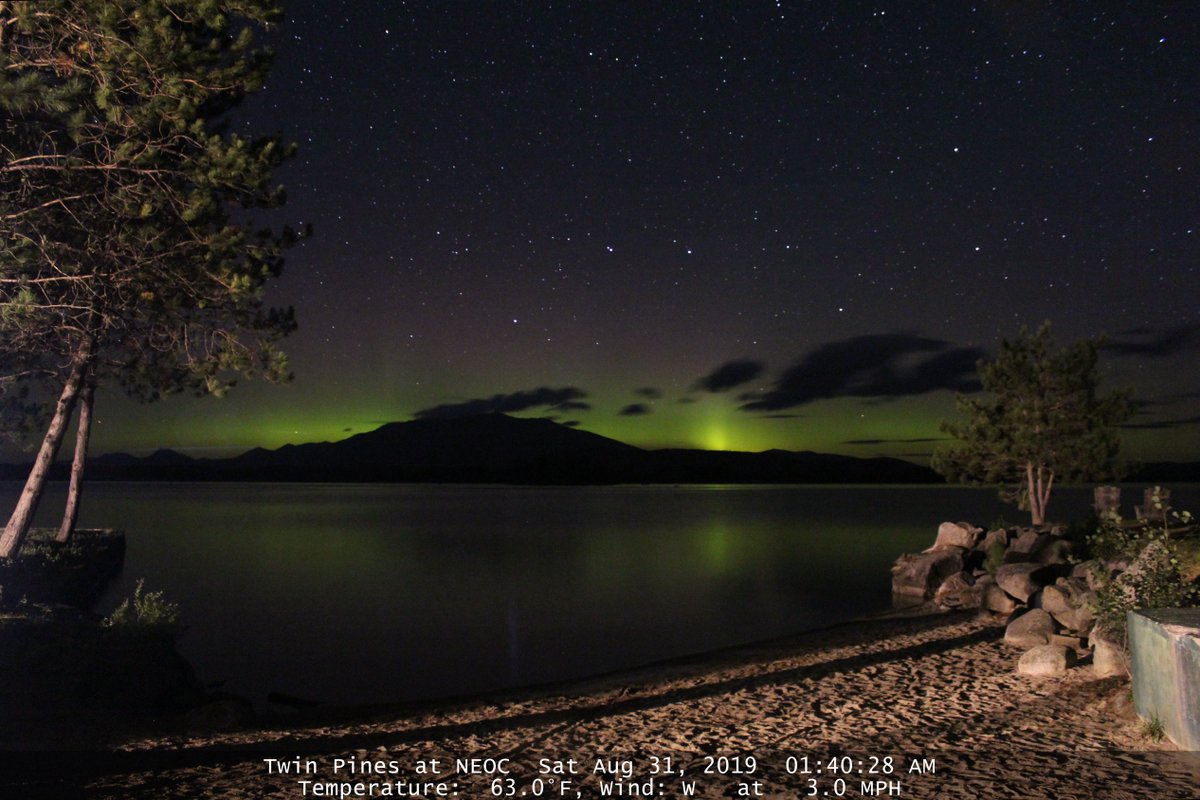 Michael Page tweet media