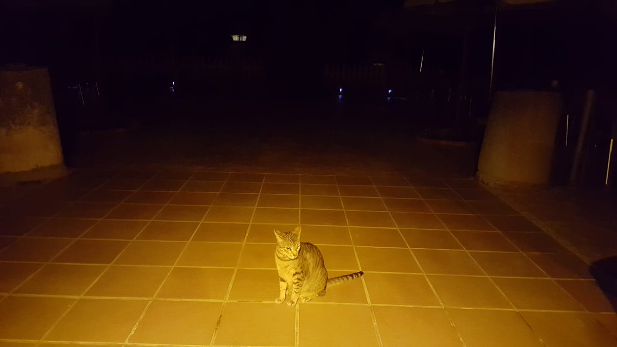 WaveTechCan's tweet photo. Actuación de control de la contaminación lumínica en Hotel-Apartament Allotjament Rural Cal Maciarol #Ager con nuestro producto #WTC_BULBHOME Made in #LaPalma by @wavetechcan... #Leds #lightning #lightingdesign https://t.co/wgdNhGF4rF