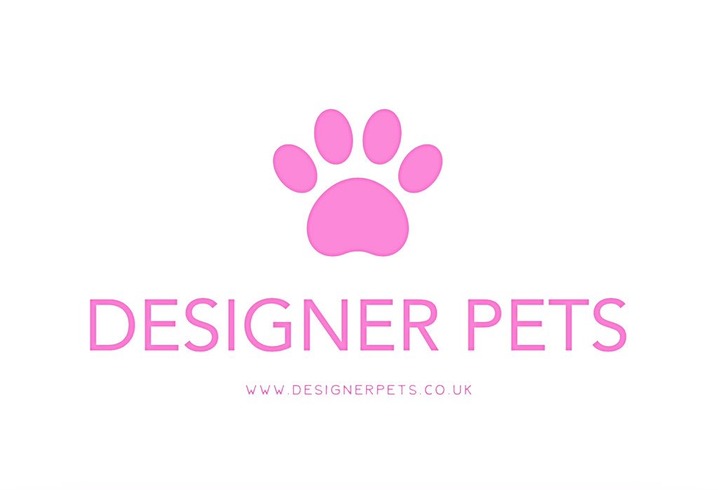 DesignerpetsUK's tweet photo. @Dexterchi @Hausofchi Don’t forget to pop by and check us out @designerpetscou https://t.co/EOdMSX1hw0
