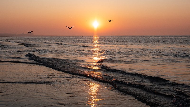 Forum_Lumix's tweet photo. #sunset #ocean #coucherdesoleil 
https://t.co/cgmlG2H4du https://t.co/hu3I6TStbL