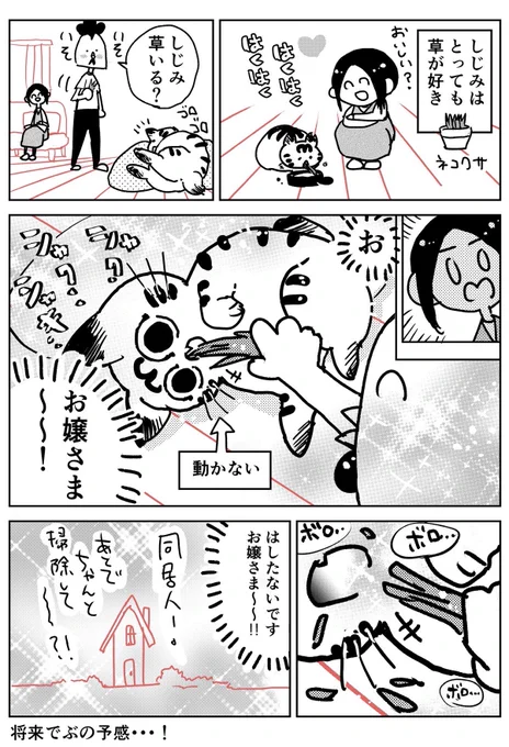 猫飼いました52 