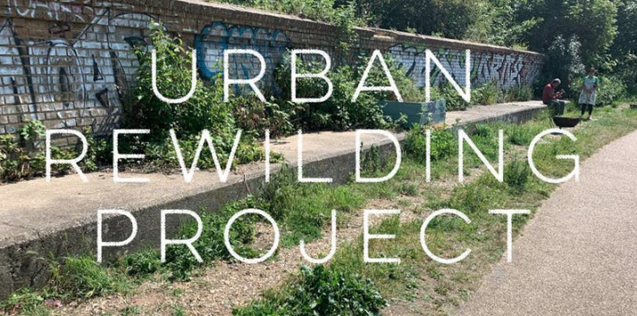 ActionFunder's tweet photo. Are you ready for tomorrow's exciting urban rewilding project? 🤩
Join @plasticfreehkny and #CifHelloBeautiful to participate in this fantastic initiative to transform a neglected urban space into a beautiful area!🌱🌷🌻😊
➡️Link here:https://t.co/yjpxNBsLPG⬅️ https://t.co/6vgNar56l4