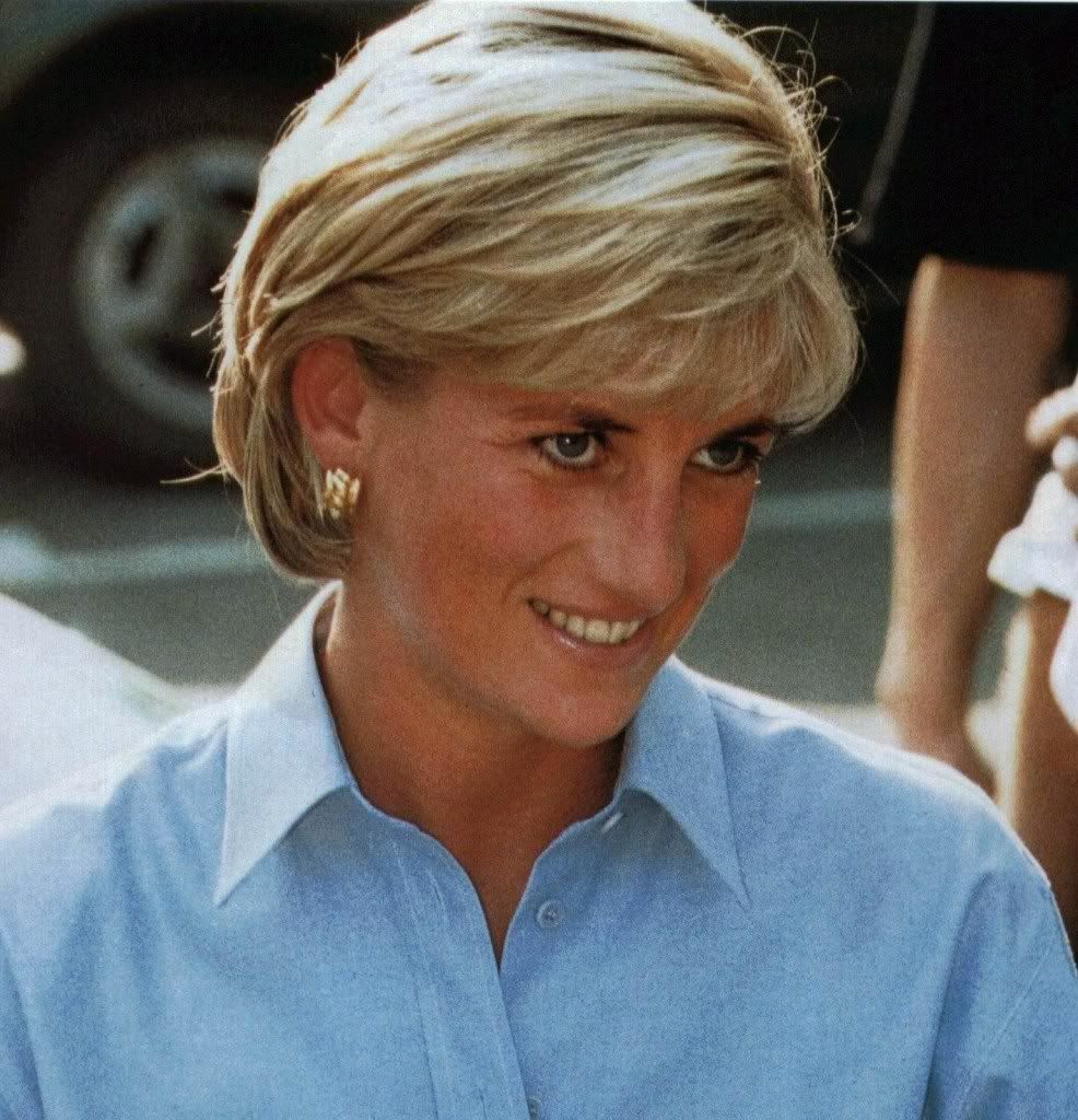 Ladydiana Twitter Search