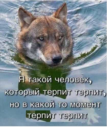 rus_4chan's tweet photo. https://t.co/EaGRrajykB