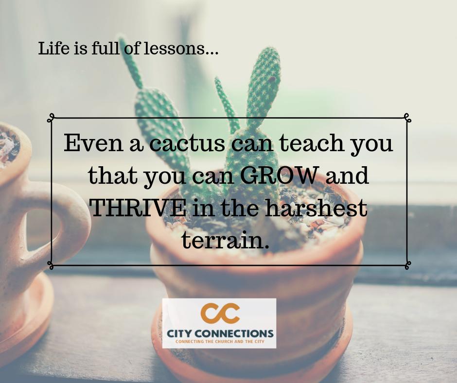 CityConnectLR's tweet photo. James 2:26 - "For just as the body without the spirit is dead, so also faith without works is dead."

#Grow #Thrive https://t.co/uOnhL0KV3F