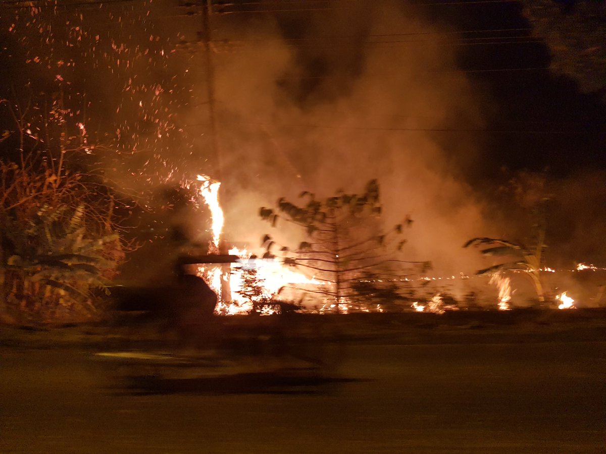 Ronald Ardiles tweet media