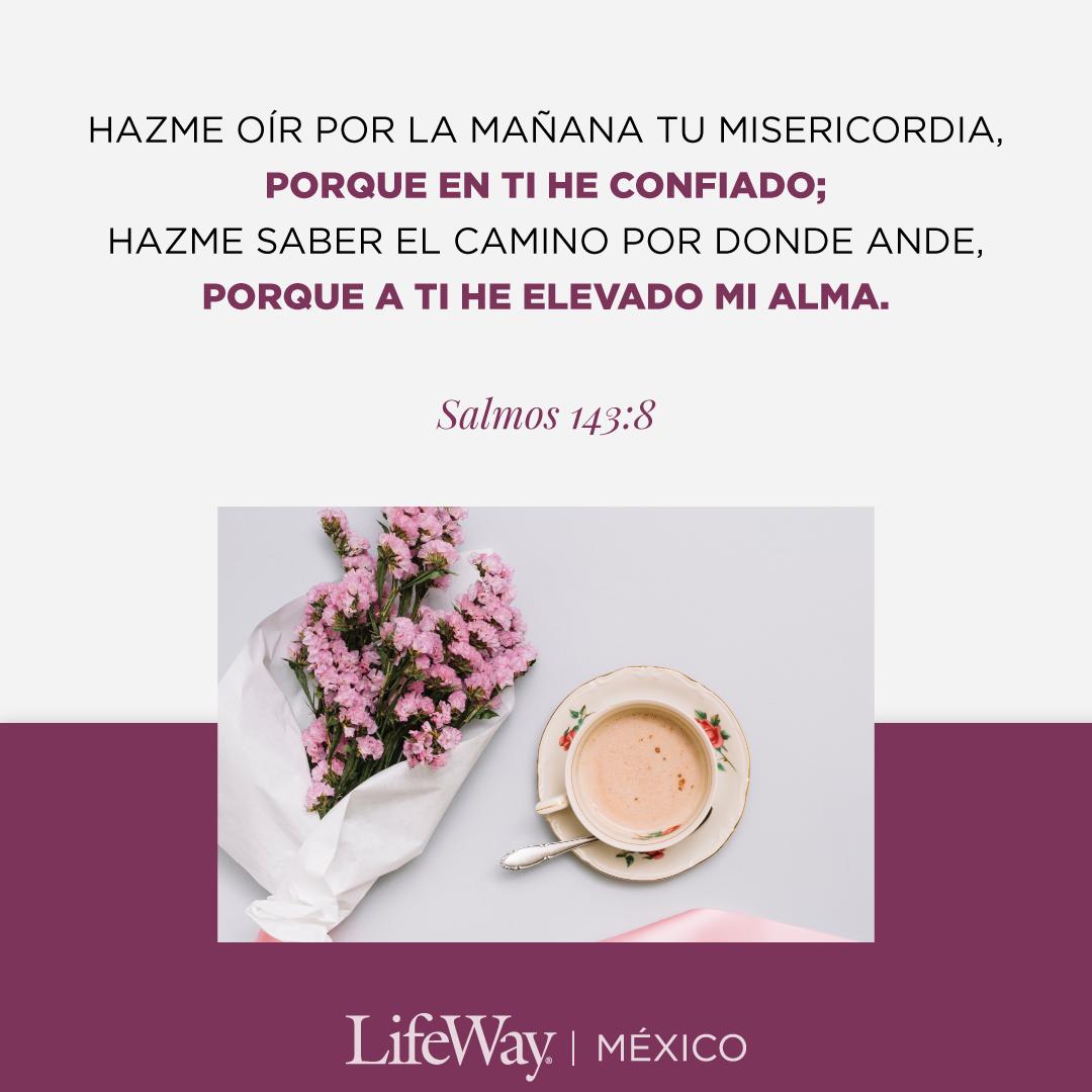 lifewaymx's tweet photo. Hazme oír por la mañana tu misericordia, porque en ti he confiado; hazme saber el camino por donde ande, porque a ti he elevado mi alma.
Salmos 143:8

#ElevaTuAlma #Salmos #Biblia #FelizSabado https://t.co/deEen4PAXj