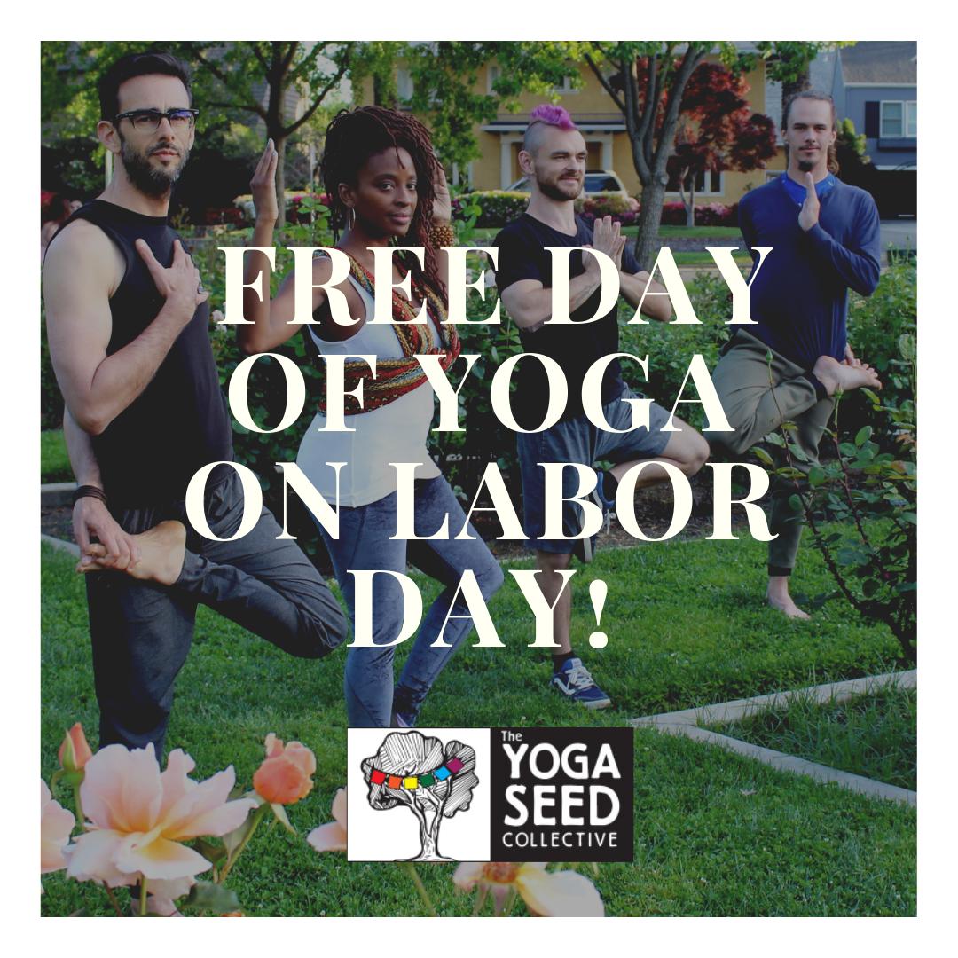 Yoga Seed Collective tweet media