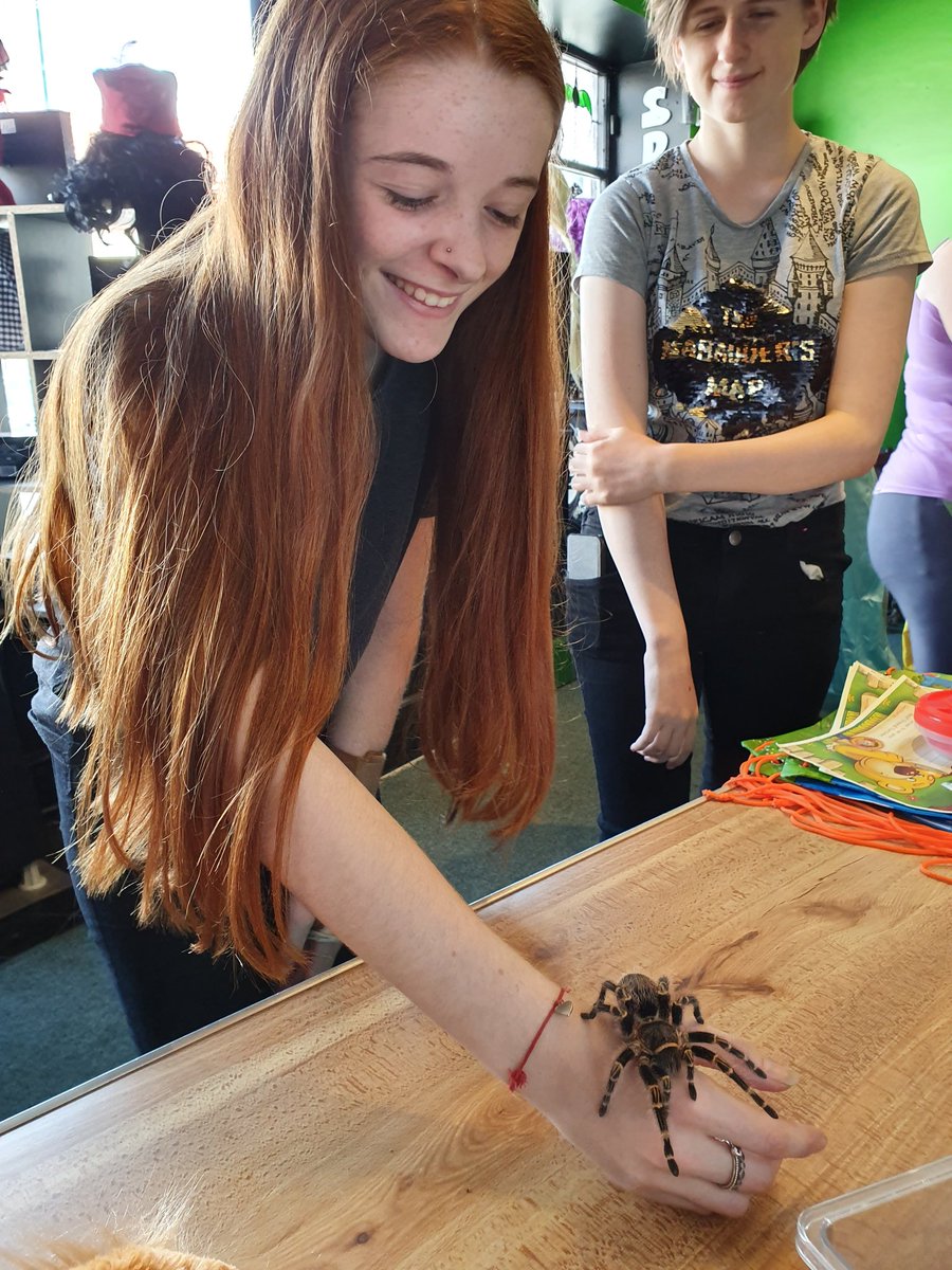 CrawlyCritters's tweet photo. We had so much fun today! 
And we had a few people conquer their fears so well done guys!!

We even had a cobra too! Don't worry though, this one was completely safe 😉

Thank you to @thegarden_den for having us. 
#Prestatyn #NorthWales #AnimalEducation #AnimalEncounters https://t.co/vFn5rlQGz5