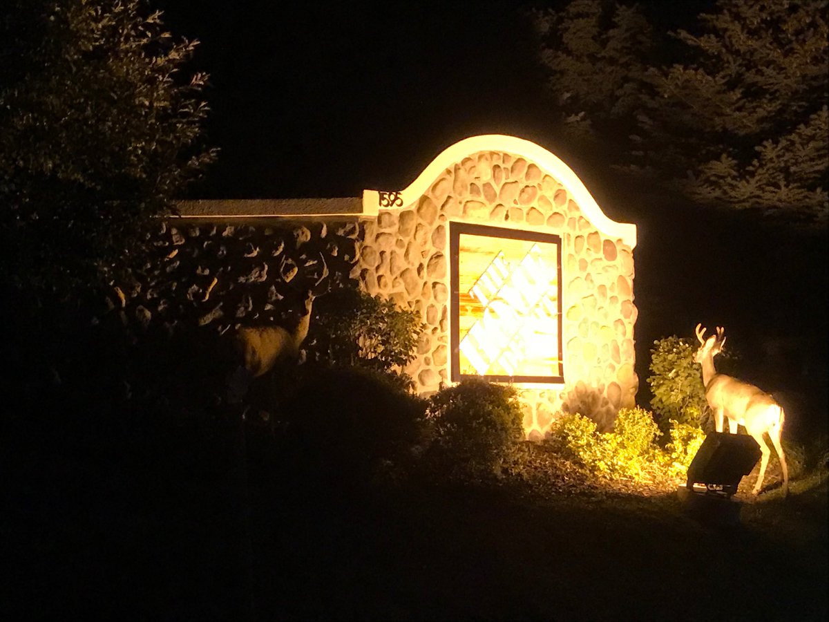 The welcoming committee. Park City HD