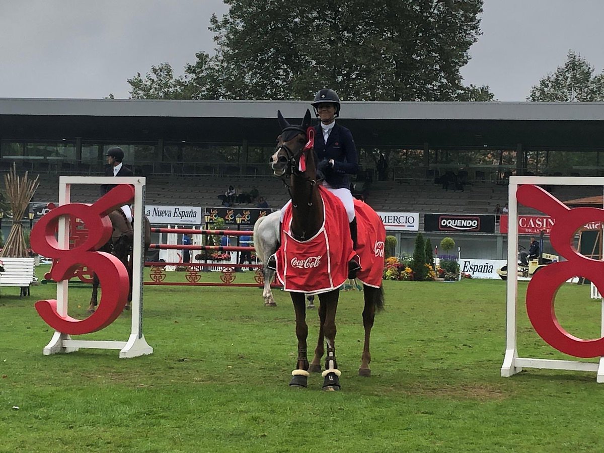 Ellen Whitaker (@ellenwhitaker71) on Twitter photo Hulahupe JR won the 7 year old final and leading young horse of the show. 👏 <a href="/csiogijon/">CSI GIJON 2021</a> 5* ❤️ Hulahupe JR won the 7 year old final and leading young horse of the show. 👏 <a href="/csiogijon/">CSI GIJON 2021</a> 5* ❤️