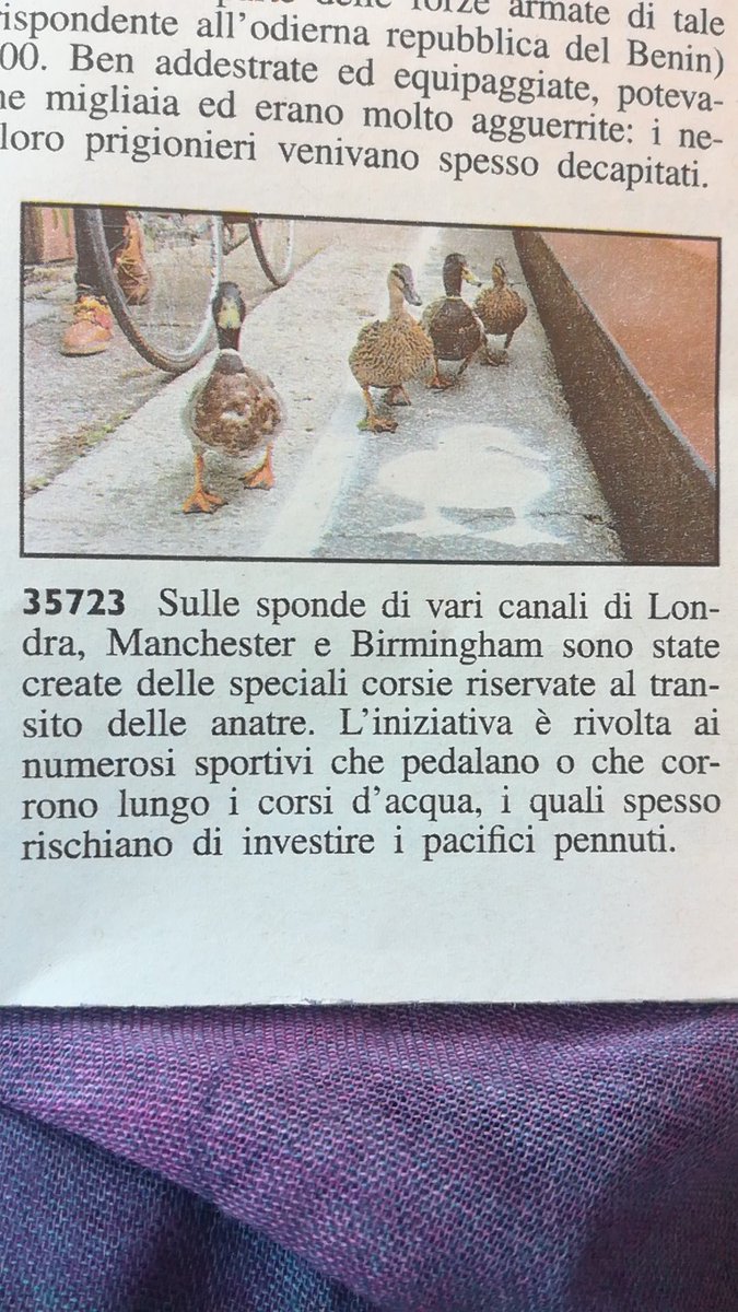 Manuela Valente tweet media
