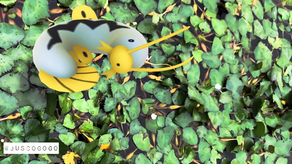 Jusco Pokego わー ミニレックウザおめでとうございます 甘い方が好きならメロン あっさり食べられるならマクワウリ って感じです 甘い果物が好まれるので人気ないのかあまり売ってませんー 頂きもので美味しかったのです