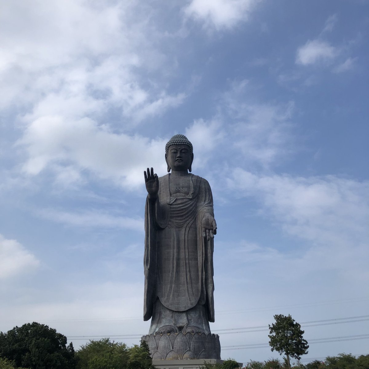 mm_bite's tweet photo. ずーっと行きたかった牛久大仏やっと拝めた。 https://t.co/onKSXbuHx7