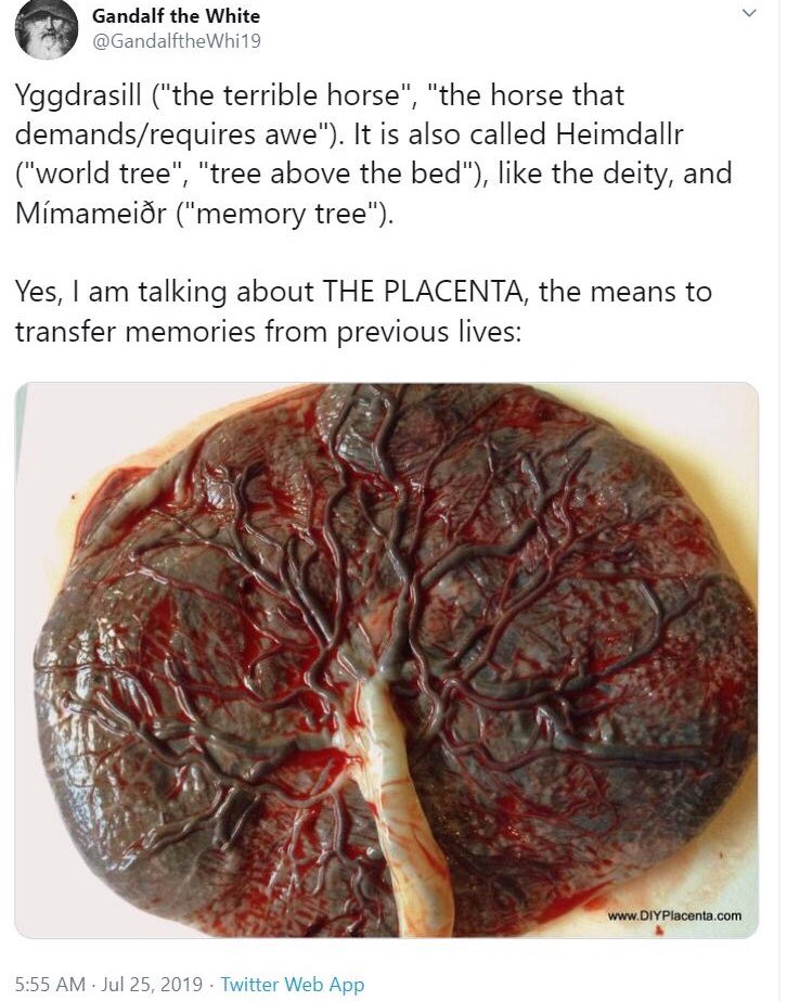 Pagan Takes (@pagantakes1) on Twitter photo 