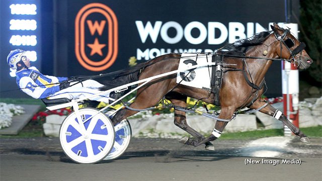 Apparently Alicorn wasn't happy with her Ontario Sires Stakes record mile of 1:51, so she and driver Louis-Philippe Roy went out and smashed it on Friday night at Woodbine Mohawk Park for trainer Chantal Mitchell 💥 ➡️ bit.ly/2NGslfi
