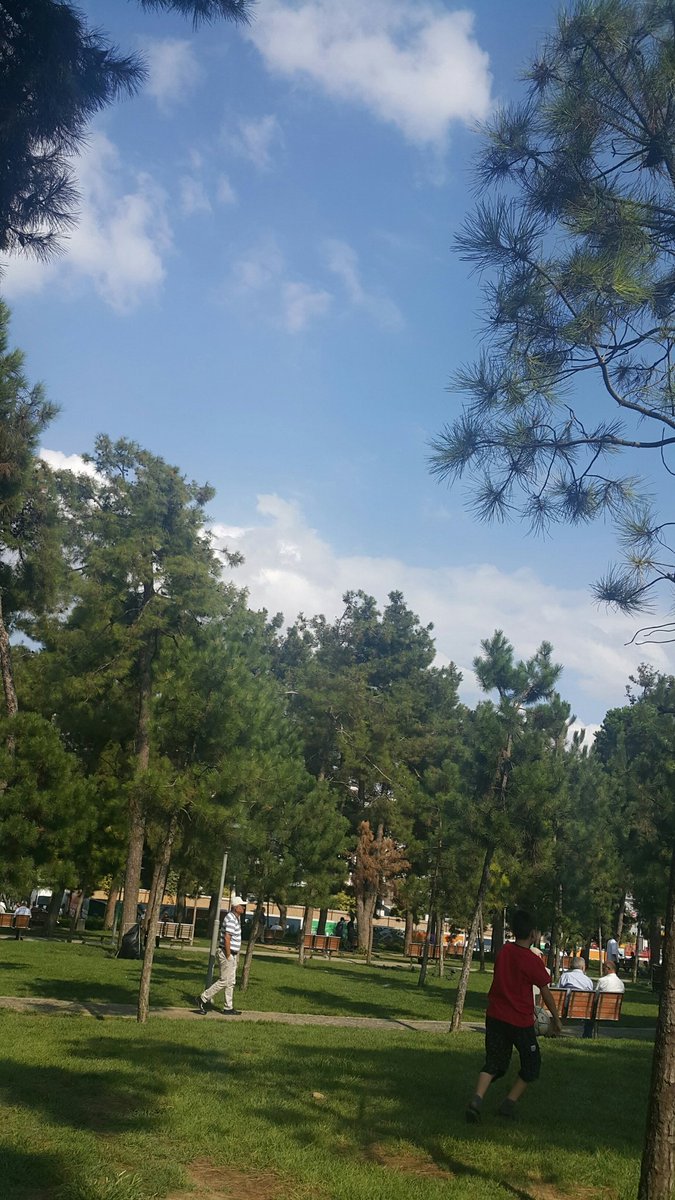 Gebze meydan parkta kimler var ateşli ve azgin olanlar ev var
