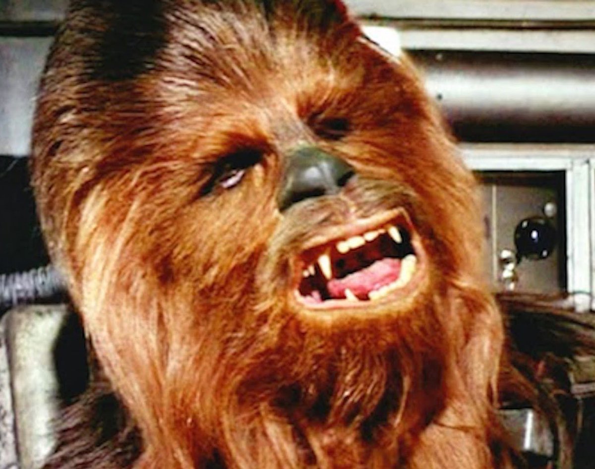ellelljaytoo's tweet photo. AGGGGG???
AGGG ROOO RAGG ROOOOGGHH!!!!
#ThingsNotToSayLoudlyInABar unless you are a big-ass Wookiee!!
Trust me on this! #StarWars #RIPPeterMayhew 💫#wisdom https://t.co/kw8S4YCjaB
