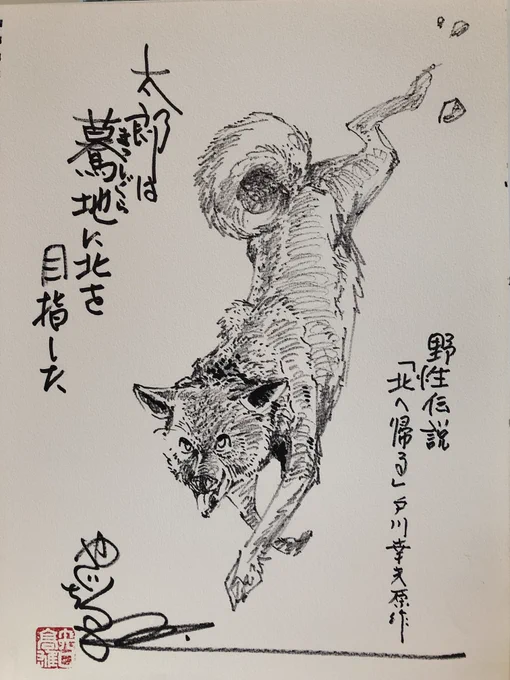 太郎は驀地に北を目指した
野性伝説『北へ帰る』戸川幸夫原作

#矢口高雄 
#dog
#犬 