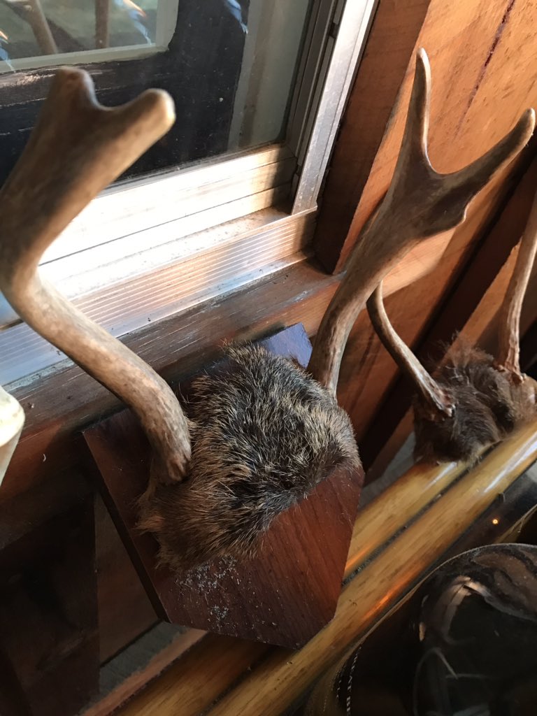 WabbaPlays's tweet photo. @Tougie24 Ladies and gentlemen, we got him. #MooseGate https://t.co/BWlh8WC09k