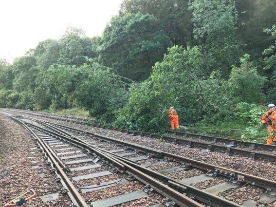 Thanks to our #ChainsawGang, tree on line at #Dunkeld impacting service btwn #Inverness &amp; #Glasgow - #Edinburgh has been removed. 

Sorry if you were inconvenienced by this.

It again shows why it is important we remove lineside vegetation to protect both safety &amp; performance.