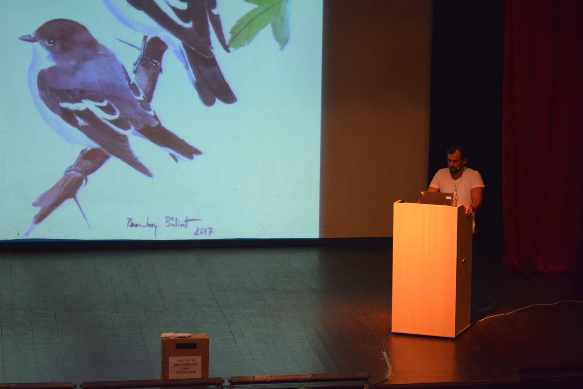 EOU 2019 Cluj tweet media