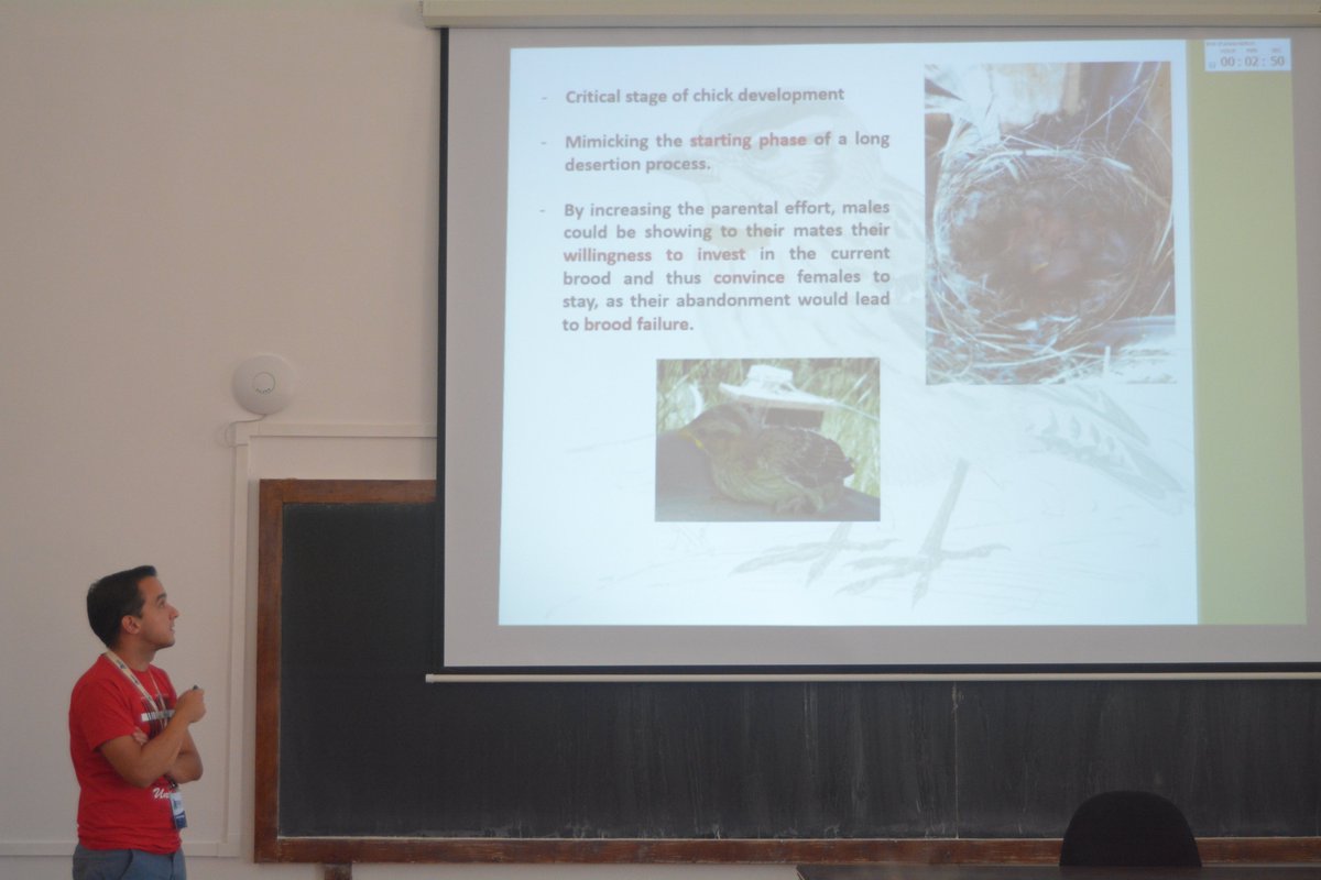 EOU 2019 Cluj tweet media