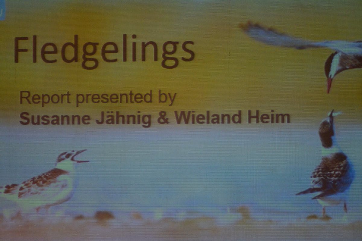 EOU 2019 Cluj tweet media