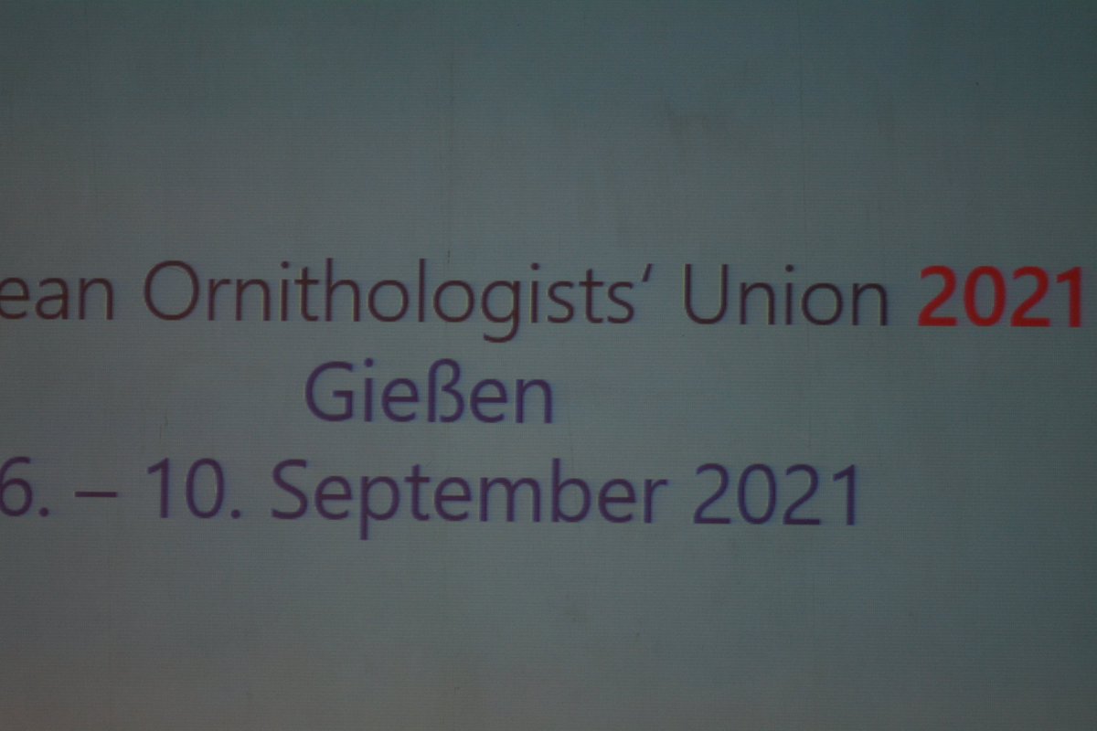 EOU 2019 Cluj tweet media