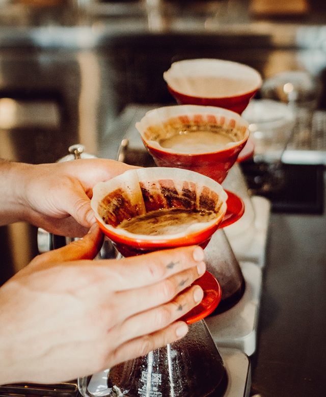 _Steady_State_'s tweet photo. You may wonder why we swirl and tap, most likely it's so we don't leave grinds high and dry out the back.
✳︎ #whateverthatmeans #steadystate #steadystateroasting #coffee #carlsbad #pourover #carlsbadvillage #specialtycoffee #goodcoffee #community https://t.co/oDkJDearho https://t.co/InlCAO6eUC